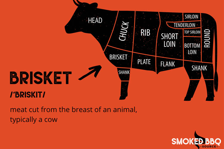 What Part of the Cow Is Brisket: Beefy Basics - Identifying the Location of Brisket on the Cow